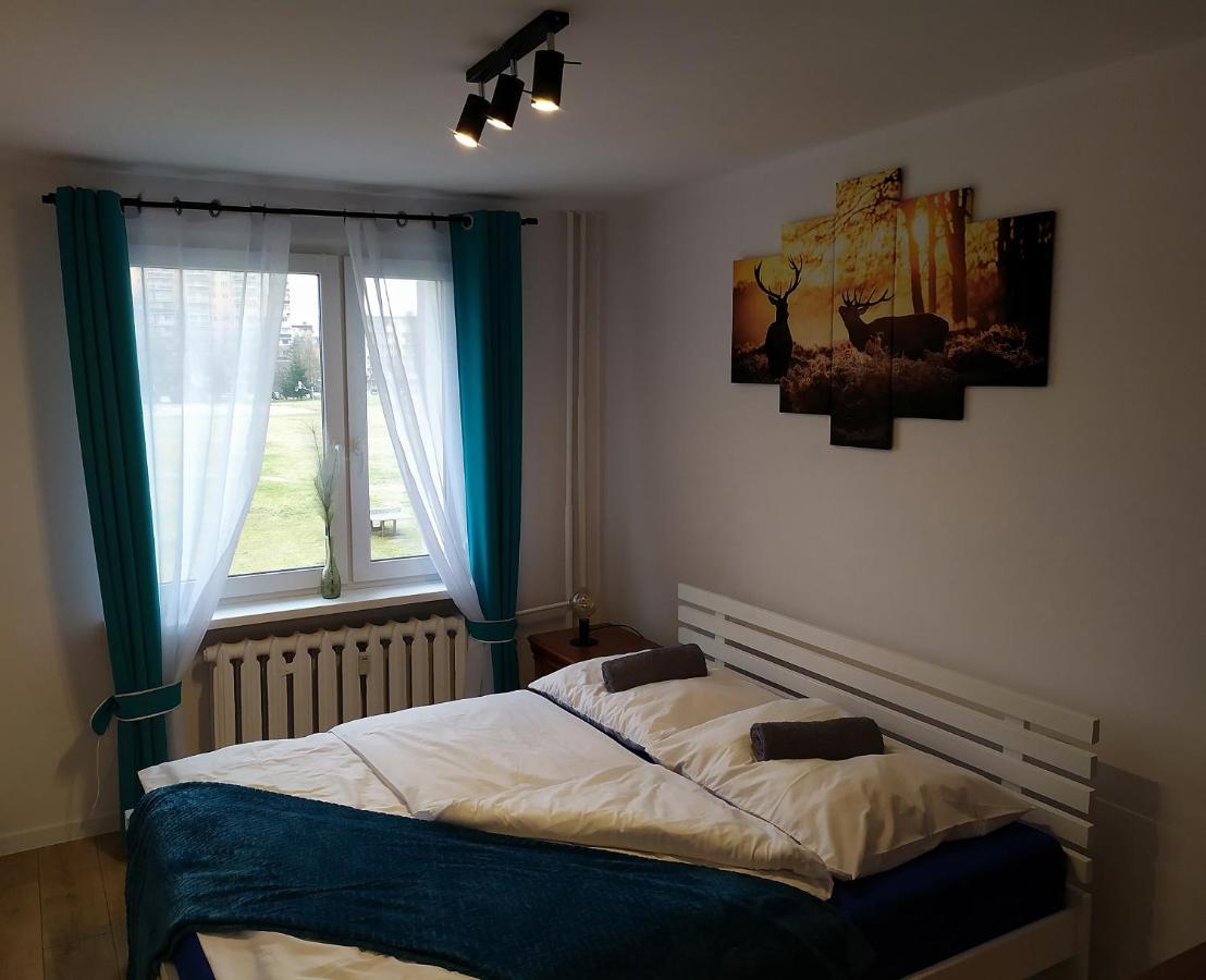 Apartament Góra Szybowcowa Jelenia Góra Zewnętrze zdjęcie
